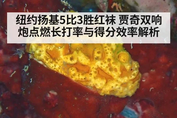 纽约扬基5比3胜红袜 贾奇双响炮点燃长打率与得分效率解析